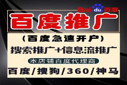 竞价排名在搜索引擎营销中的运用案例